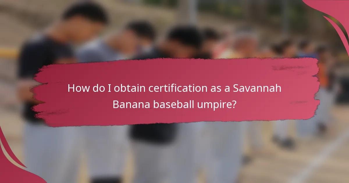 How do I obtain certification as a Savannah Banana baseball umpire?