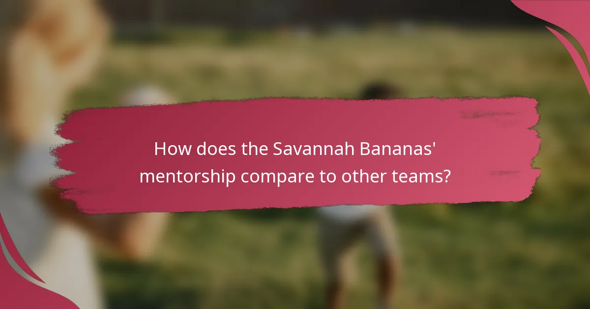 How does the Savannah Bananas' mentorship compare to other teams?
