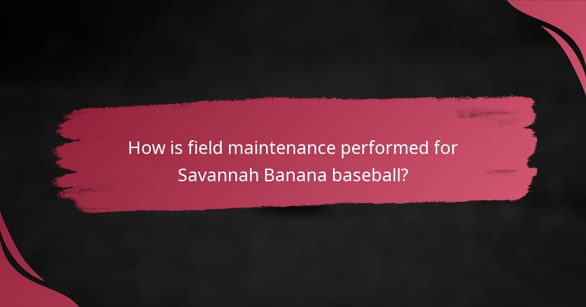 How is field maintenance performed for Savannah Banana baseball?
